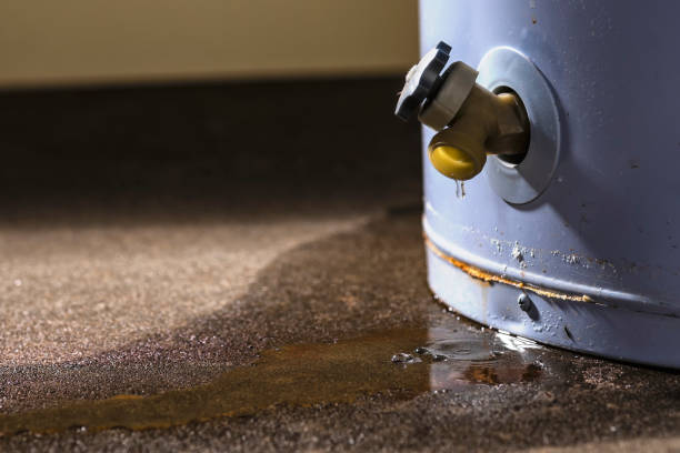 Best Basement water damage restoration  in Brookshire, TX