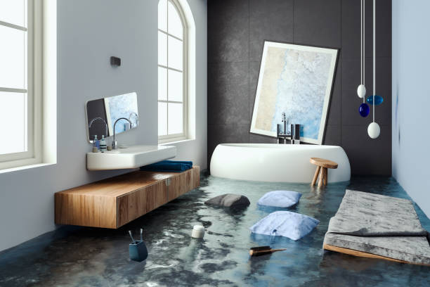 Best Mold removal after water damage  in Brookshire, TX