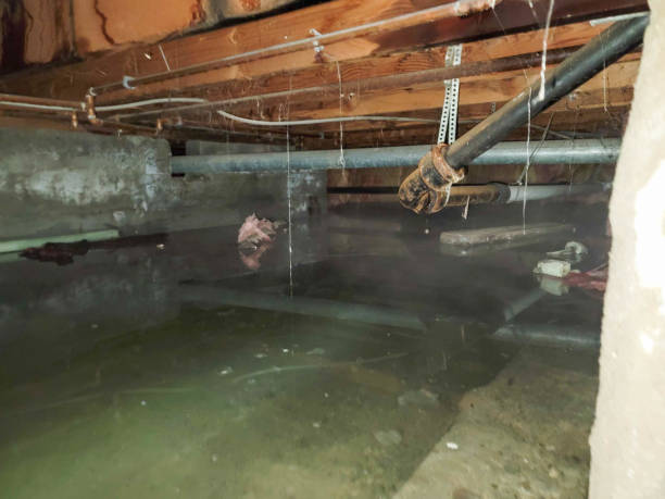 Best Carpet water damage restoration  in Brookshire, TX
