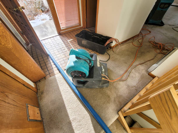 Local water damage restoration in Brookshire, TX