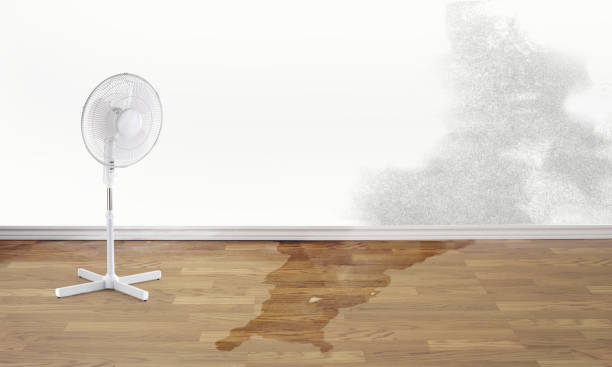 Best Emergency water damage restoration  in Brookshire, TX