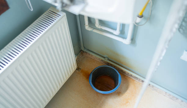 Best Mold removal after water damage  in Brookshire, TX