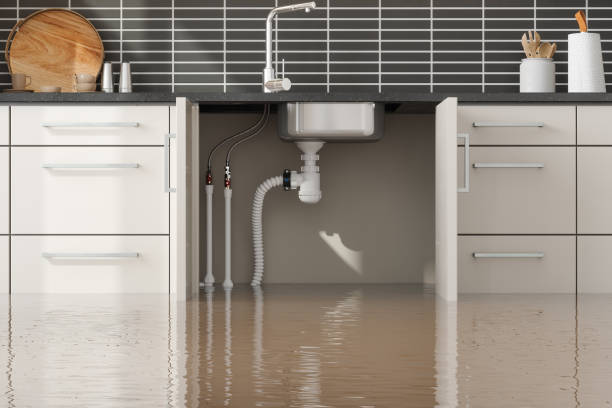 Best Flooded house restoration  in Brookshire, TX