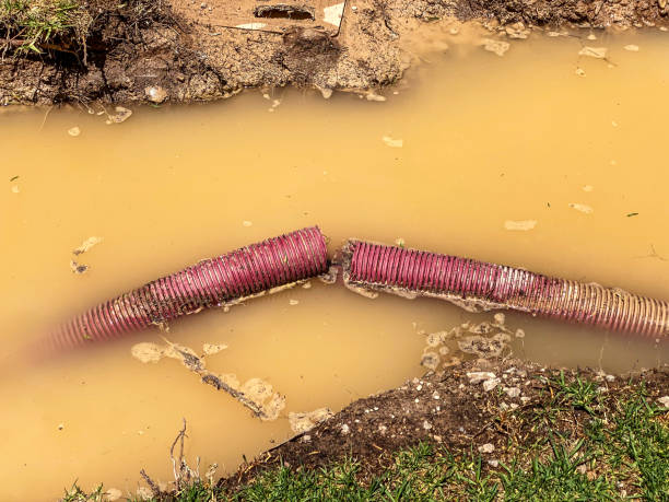 Best Water damage restoration near me  in Brookshire, TX